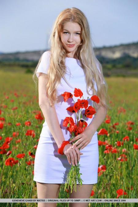In a field of poppies