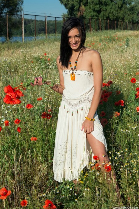 Aprilia B On a poppy field