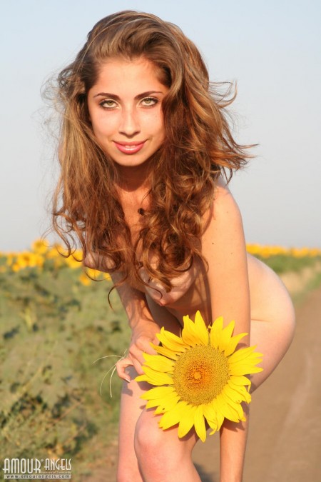 Yuliya Diamond Sunflower