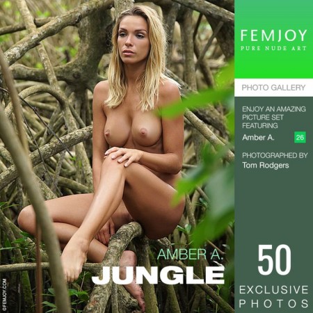 Amber A Jungle