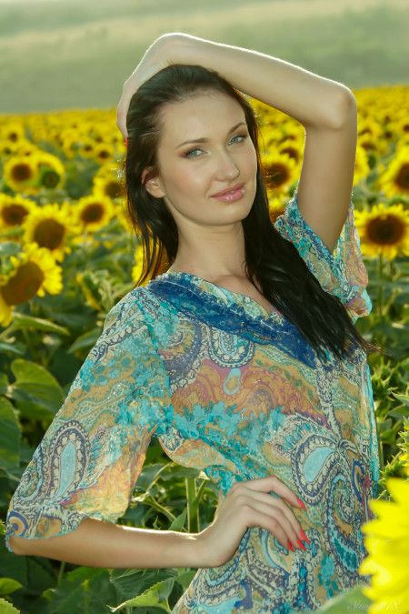 Izolda M Field of Sunflowers