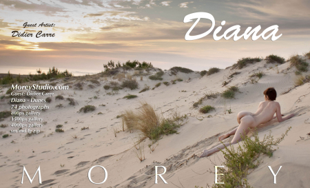 Diana A Dunes