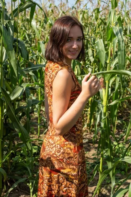 Corn Field